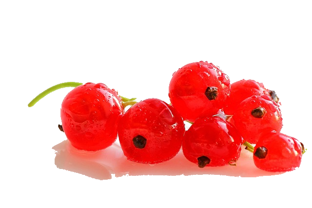 A Cluster of Redcurrants
